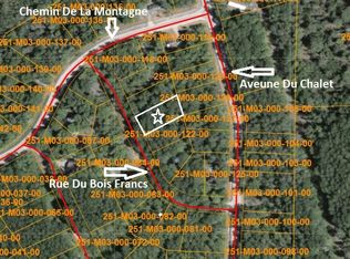 15134 Rue Du Bois Francs, Wolverine, MI 49799