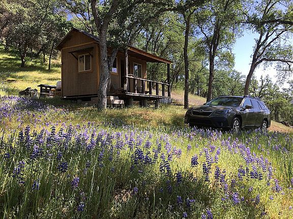 5th image of 2465 Pinto Dr