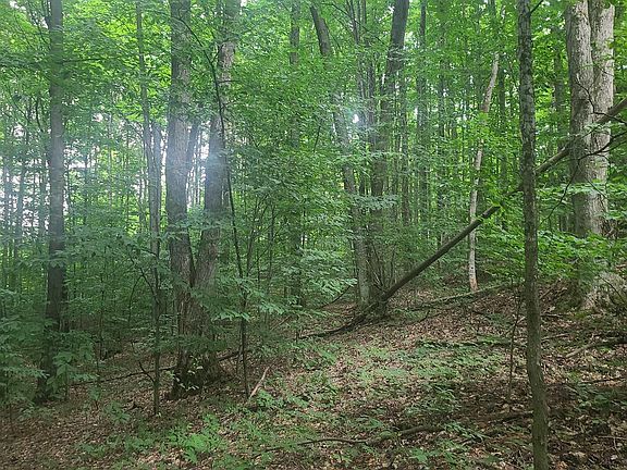3rd image of 29 0 Trail Ln