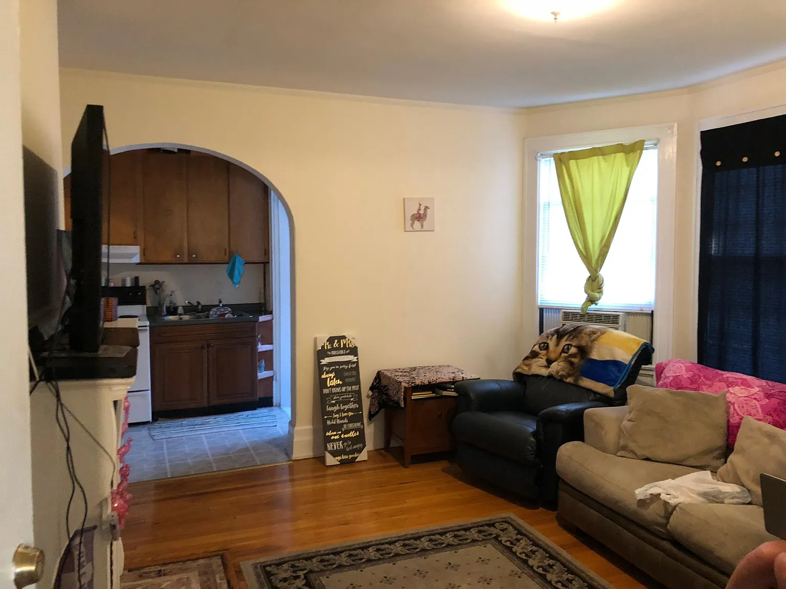 1 bed, $1,150 — Photo 2