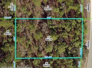 0 Dusky Sparrow Rd, Brooksville, FL 34614