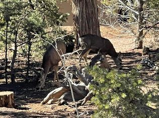 6236 Loggers Ln, Show Low, AZ 85901