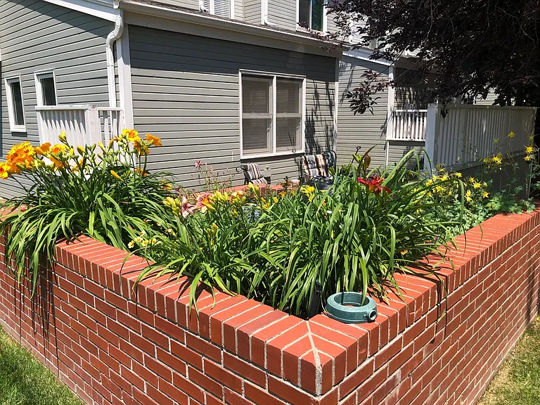 Lots of flowers for all to enjoy