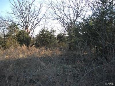 0 Riverwood Dr, Saint Clair, MO, 63077