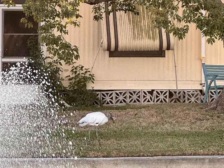View of Stork from back porch