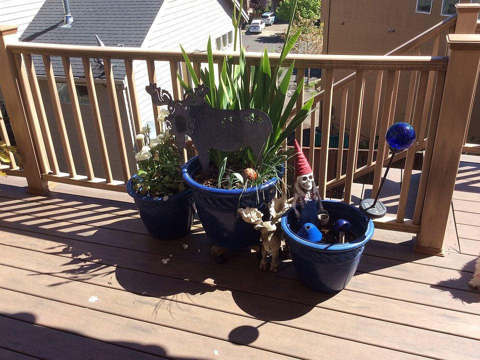 2nd image of 12784 SE 157th Ave
