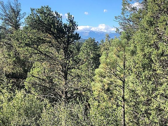 2nd image of 45 Dead Log Ln