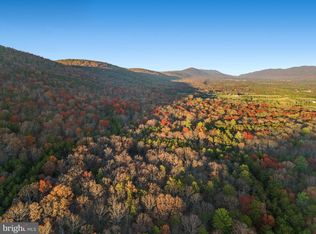 Fort Valley Forest Dry Run Rd, Fort Valley, VA 22652
