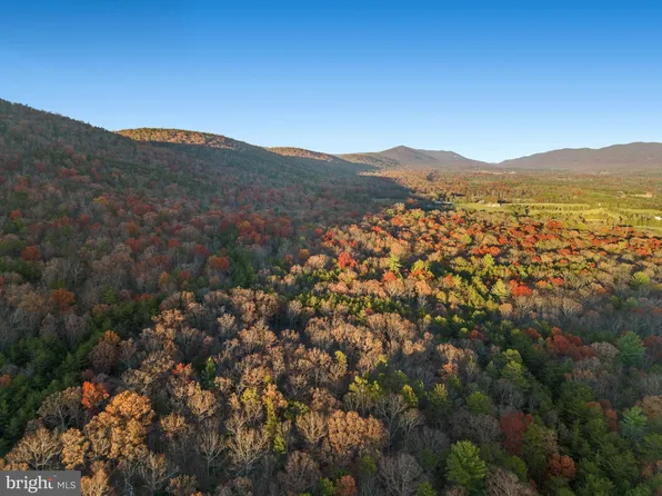 Fort Valley Forest Dry Run Rd, Fort Valley, VA 22652