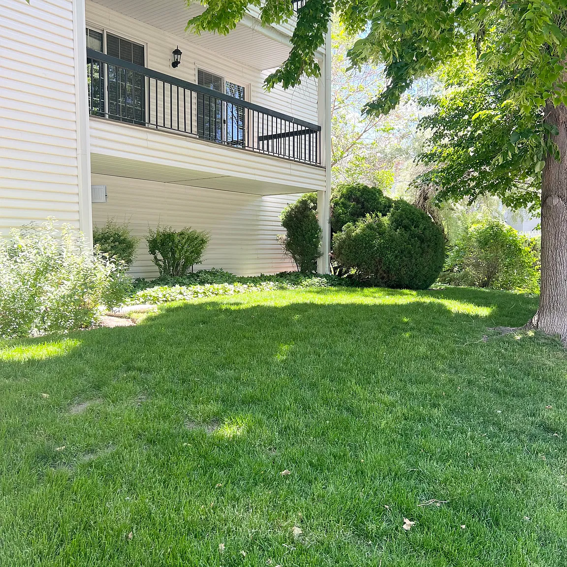 3 bed, 1320 sqft, $1,895 — Photo 1