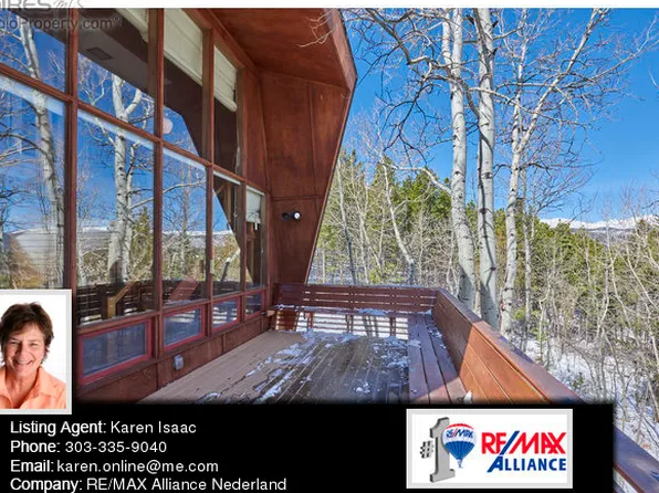 56 Valleyview Dr, Nederland, CO 80466