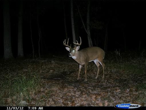 1st image of W5866 Grouse Dr