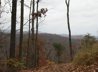 1 Morganton Camp Rd, Blue Ridge, GA 30513