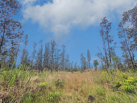 3rd image of Road 9 Koloa Maoli Lot 5437