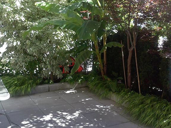 Large private patio with landscaping.