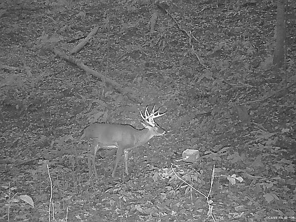 3rd image of 19056 Turnpike Rd