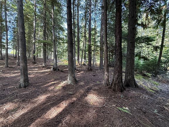 2nd image of LOT 19 Cherub Lake Rd