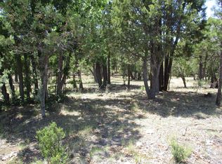 3829 Durango Dr, Happy Jack, AZ 86024