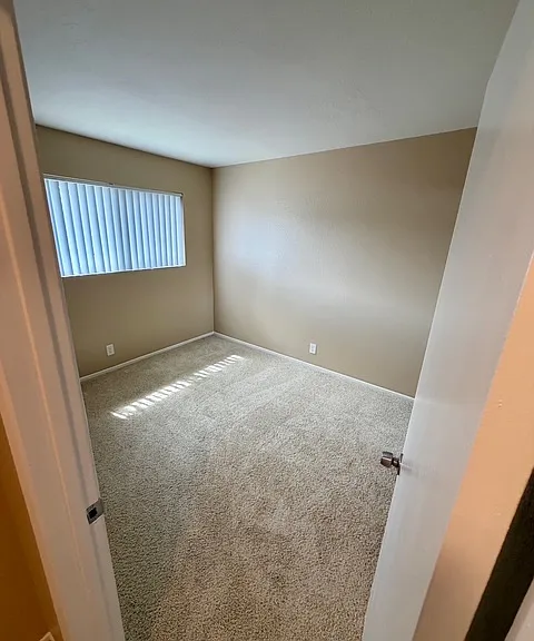 1009 Seabreeze Dr — Photo 13