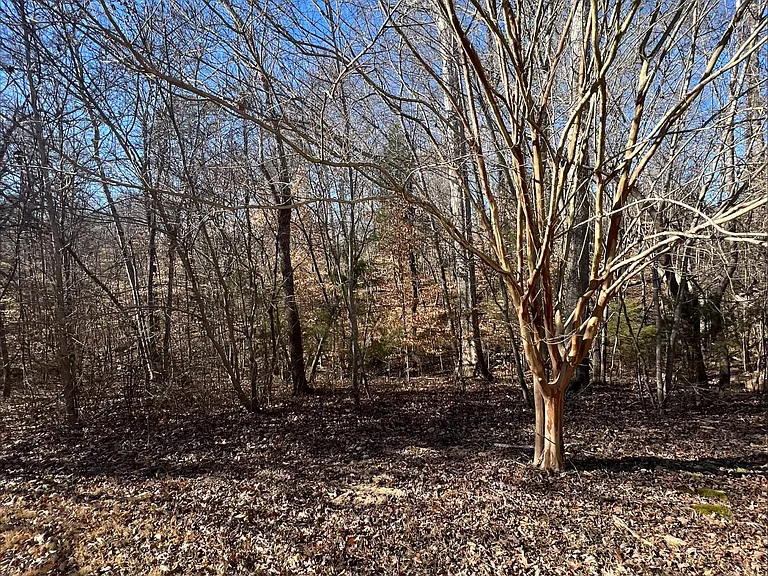 4328 Oxford Mill Rd — Photo 40
