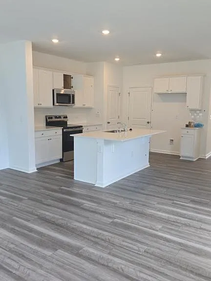 525 Fran Dr — Photo 5