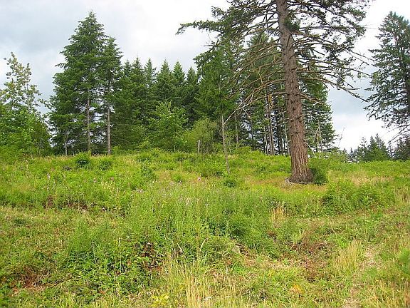 3rd image of 202 Thompson Dr