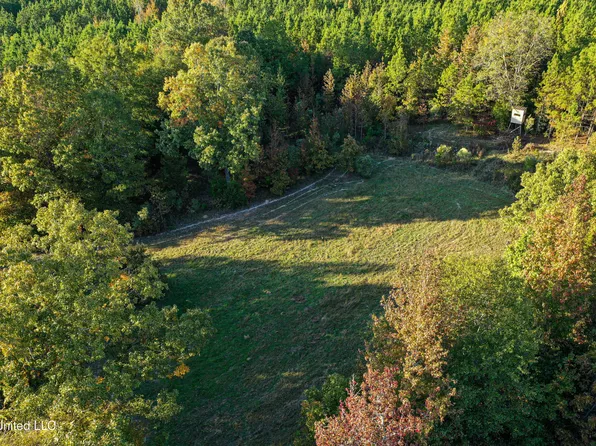 1 County Road 107, Pittsboro, MS 38951