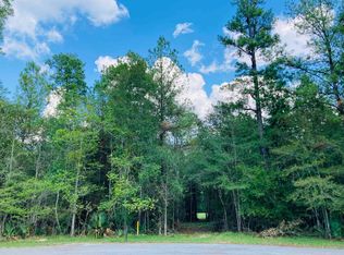 LOT 13 Lakeview Dr, Sour Lake, TX 77659