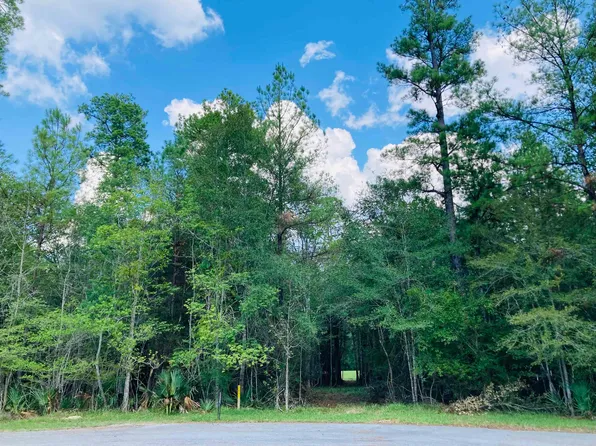 LOT 13 Lakeview Dr, Sour Lake, TX 77659