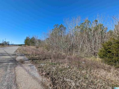 0 Chandler Springs Rd #0, Talladega, AL, 35160