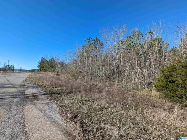 0 Chandler Springs Rd #0, Talladega, AL 35160