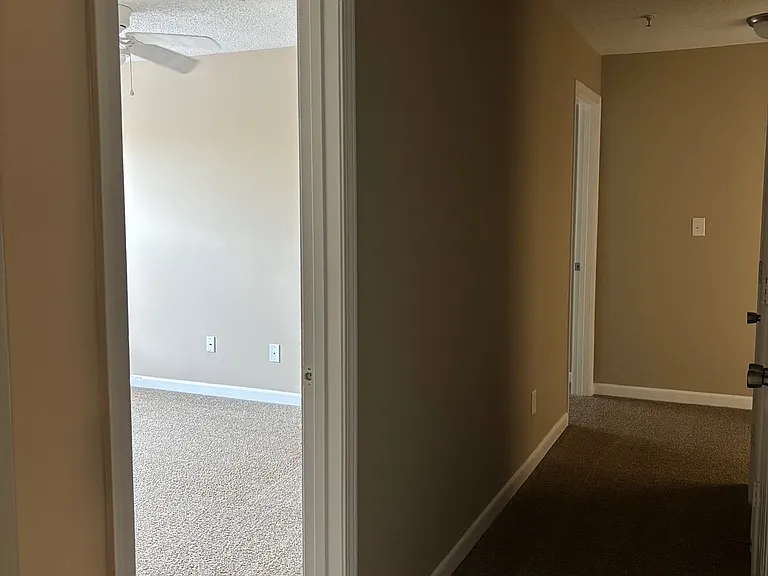 Hallway with laundry closet.
