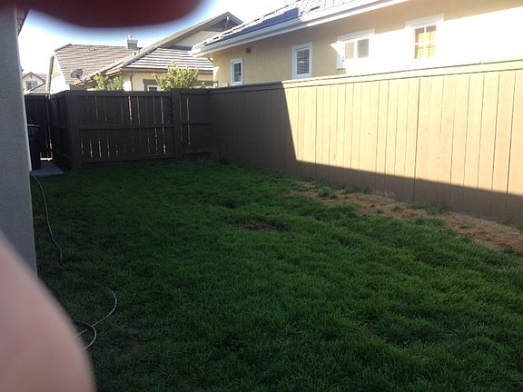Backyard 2_10172014