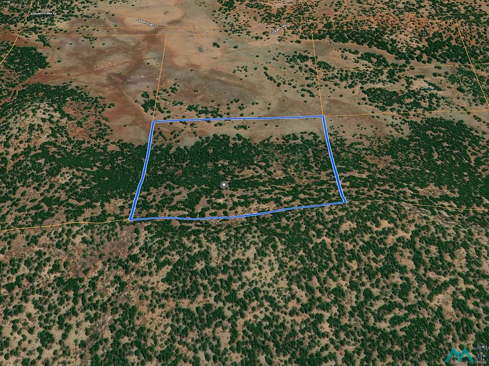 2nd image of Forest Rd #157