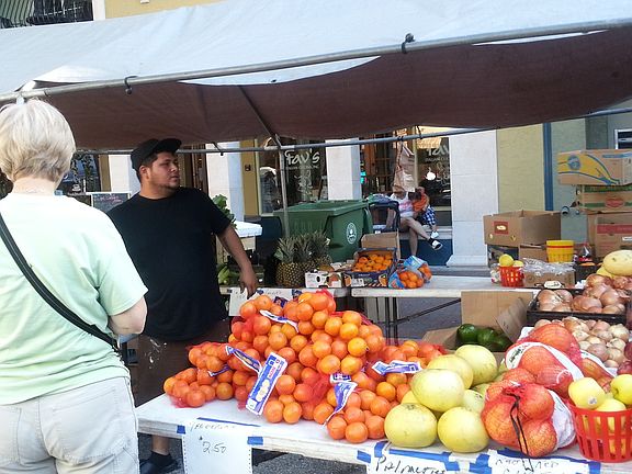 Farmers Market in Sarasota and Bradenton