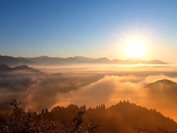 2nd image of 4632 W 41st St NE #17