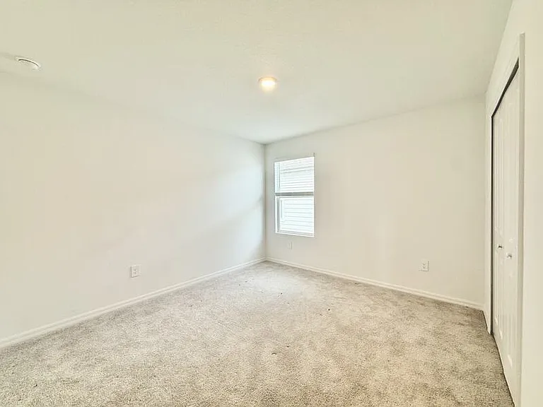 641 Bald Cypress Dr — Photo 39