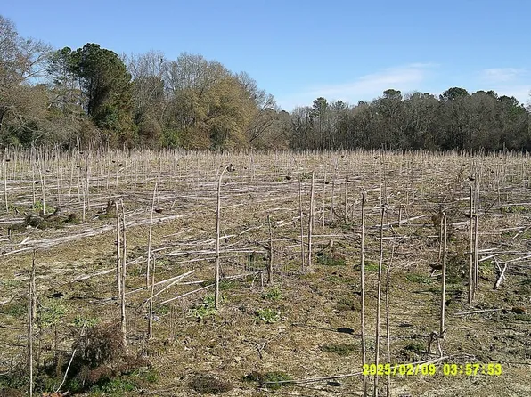 Elko Rd, Unadilla, GA 31091