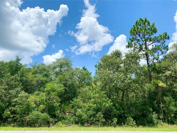 LOT 5 Royal Trails Rd Lot 5, Eustis, FL 32736