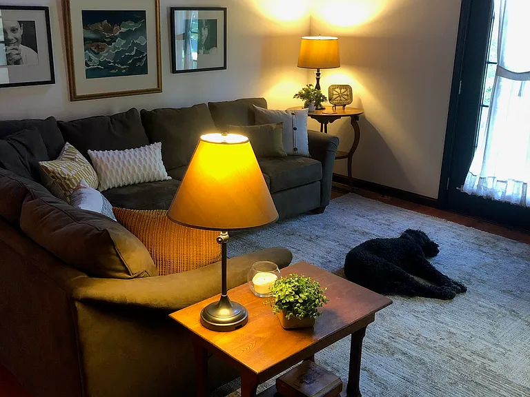 13465 Long Days Ct — Photo 11