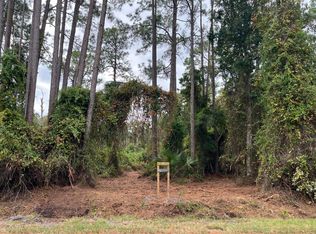 303 Paradise Blvd, Georgetown, FL 32139