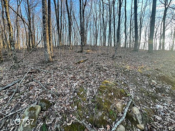 4th image of 37 Bears Paw Dr