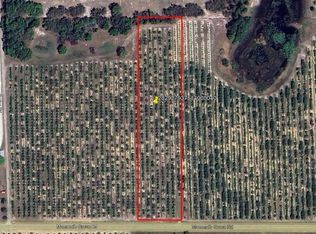 Mammoth Grove Rd LOT 4, Lake Wales, FL 33898