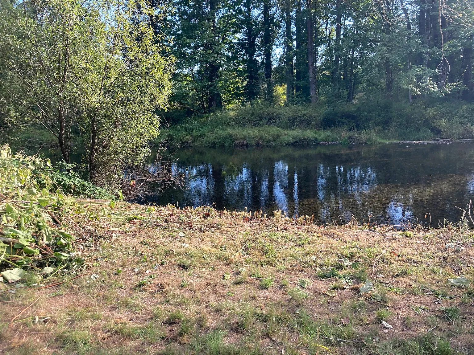 1 bed, 500 sqft, $2,400 — Photo 4