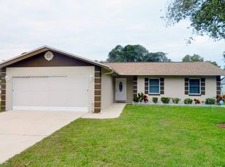 12 Brandy Hills Dr, Pt Orange, FL 32129