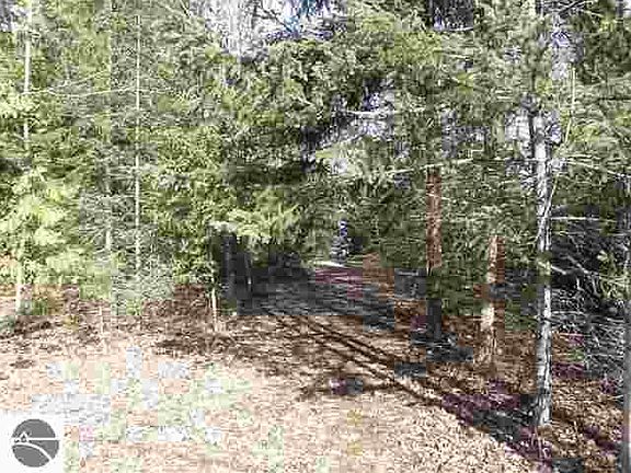 5th image of 15589/15609 Birch Dr