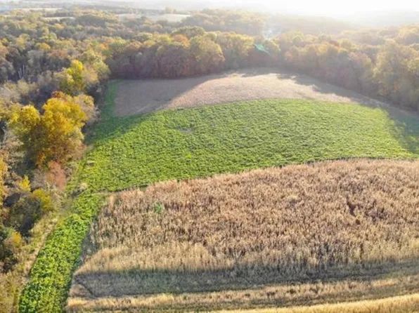 N Bowden Rd, Scales Mound, IL 61075