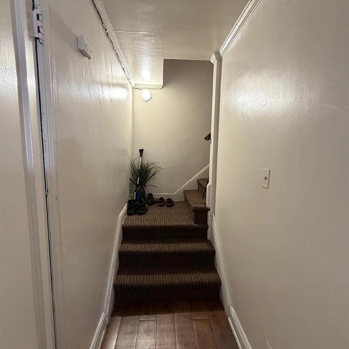 3 bed, 1.0 bath, 1883 sqft, $3,500 — Photo 4