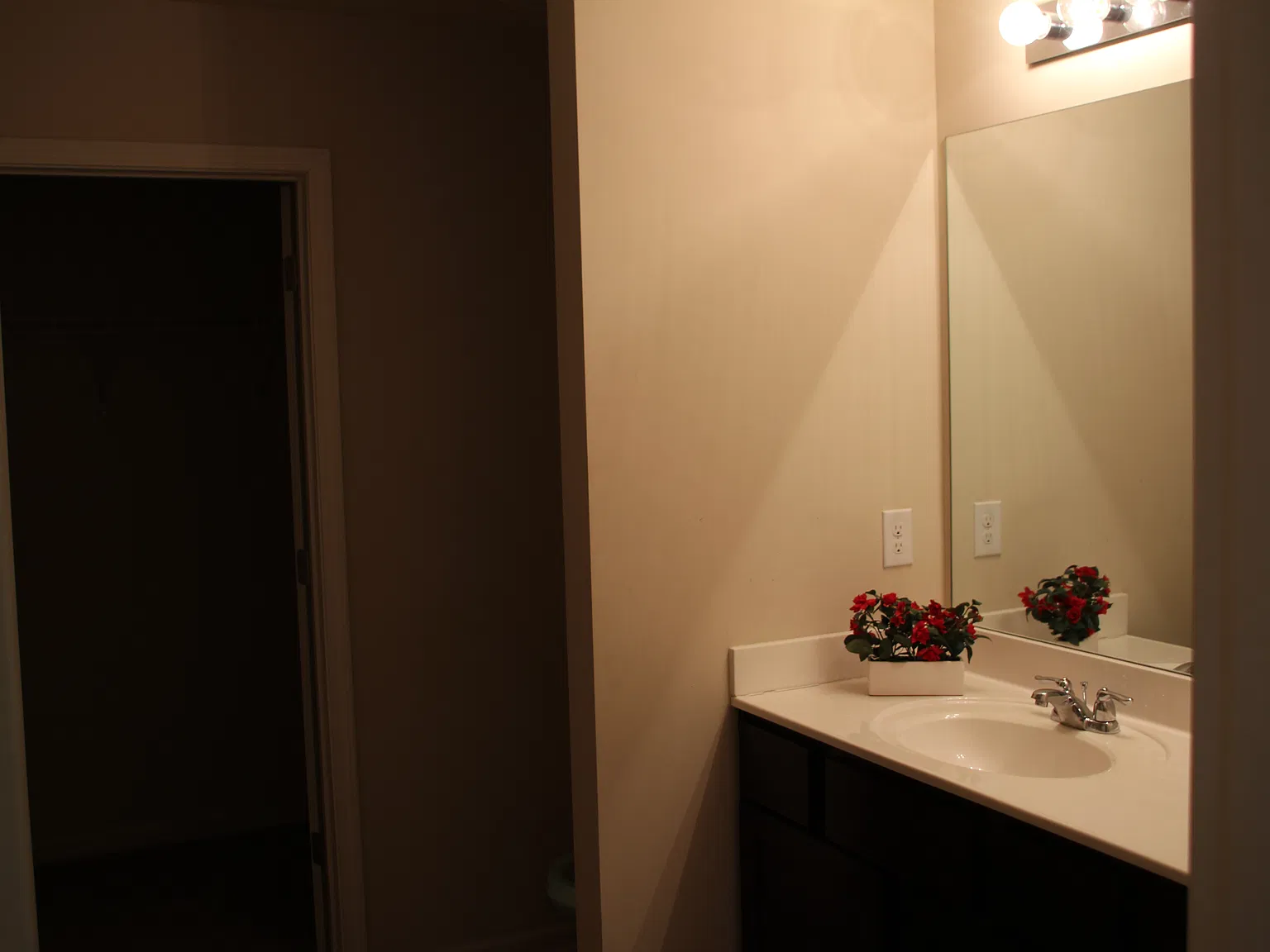 Lily Valley Dr, Lawrenceville — Photo 2