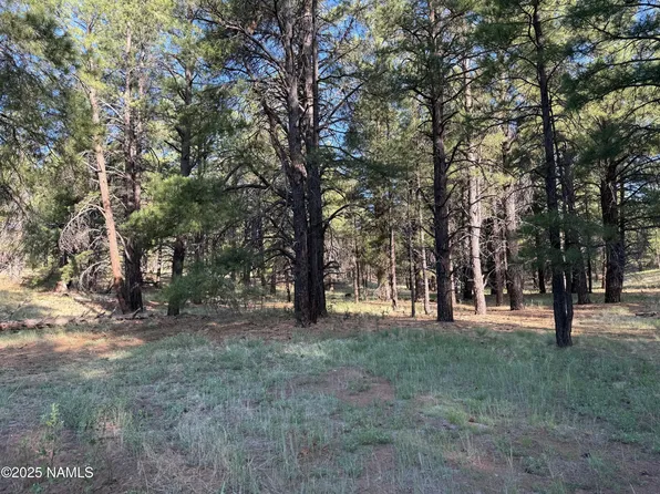 5800 White Tail Ln, Flagstaff, AZ 86005